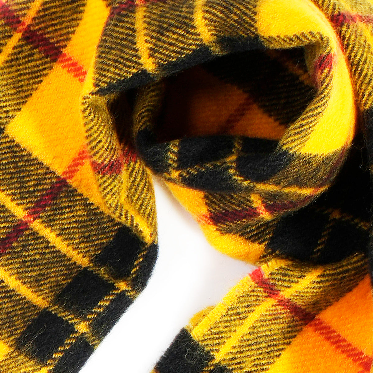 Yellow Stornoway • LE